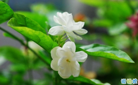 表示無聊的朋友圈說說帶圖片：無聊，是人生的一種正常現(xiàn)象13