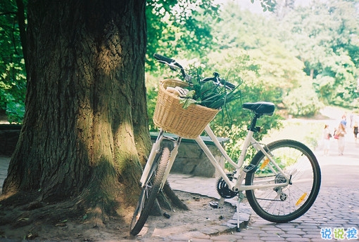 一個人獨(dú)處時的孤獨(dú)寂寞的說說帶圖片 你有看過凌晨三點(diǎn)的星星嗎8