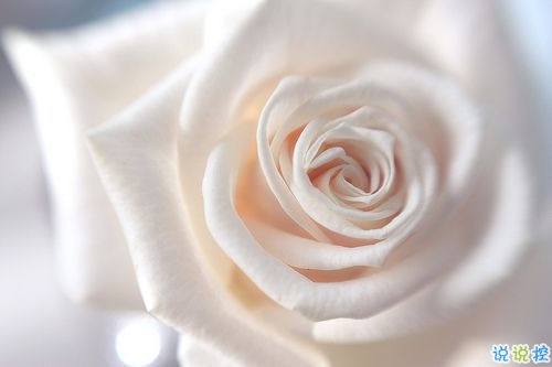 安妮寶貝作品集經(jīng)典語錄摘抄 美文優(yōu)美唯美的語錄大全安妮寶貝2