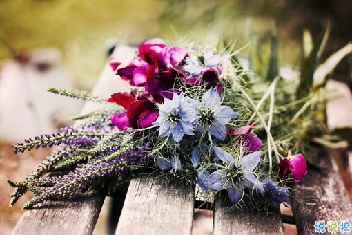 女生表白男生的話可愛簡短 2019最美最動(dòng)聽的情話大全微微甜1