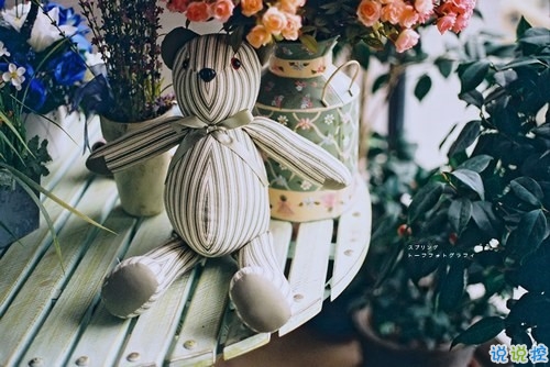 很勵(lì)志的關(guān)于成長(zhǎng)青春和夢(mèng)想的感悟人生的說(shuō)說(shuō)帶圖片12