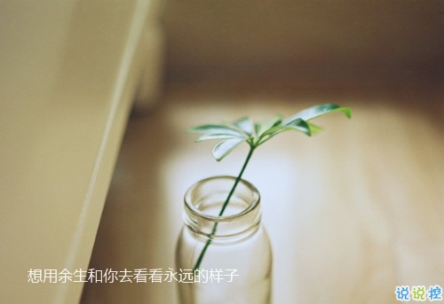 生活中讓人感到孤獨(dú)的小瞬間 一個(gè)人感到孤單落寞的說說2