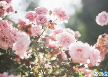 說到心坎的傷感說說帶圖片戳中你的內(nèi)心 失落又心痛發(fā)朋友圈說說精選2