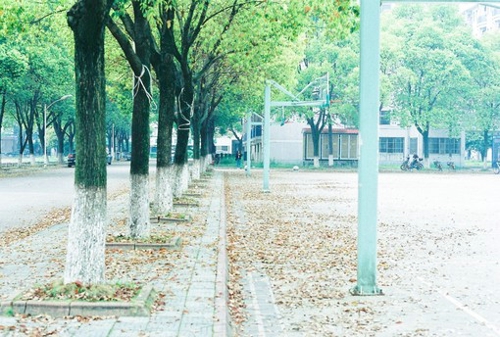 關(guān)于愛情感情的感悟有哲理深意的精辟說(shuō)說(shuō)帶圖片7