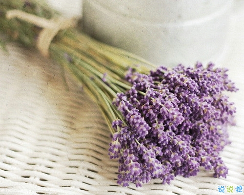 優(yōu)美說(shuō)說(shuō)唯美的句子配圖：海底月是天上月，只是鏡花水月10