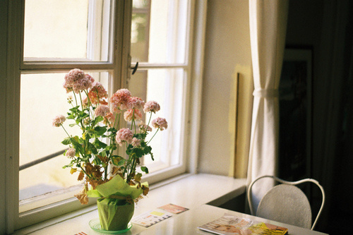 超經(jīng)典的關(guān)于人生和成長(zhǎng)的激勵(lì)你前行的正能量說說帶圖片7