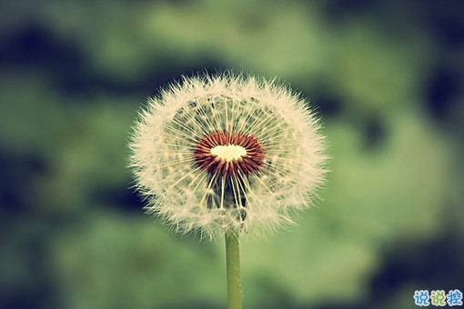 晚安說(shuō)說(shuō)勵(lì)志好心情一句大全帶圖片 簡(jiǎn)單一句晚安心語(yǔ)勵(lì)志配圖1