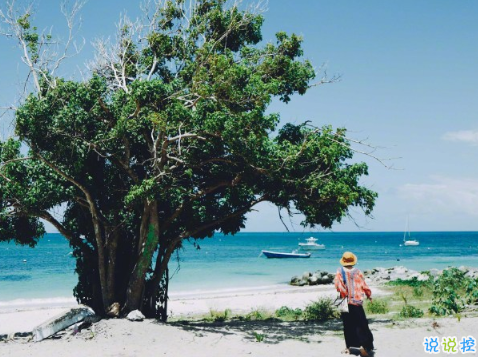 一句話打動人心的愛情句子大全 朋友圈簡短低調(diào)曬幸福句子2