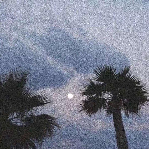 關(guān)于人生和夢(mèng)想的很現(xiàn)實(shí)的經(jīng)典哲理說說帶圖片4