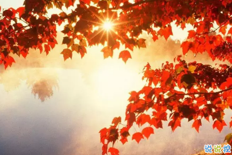 今日立秋圖片說說2018最新版 立秋的經(jīng)典說說帶圖片精選7