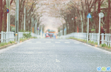 最火情侶說說秀恩愛短句帶圖片 超級喜歡一個人的說說4