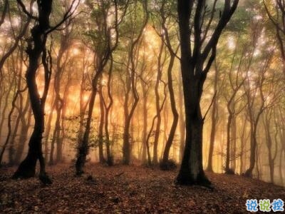 唯美時(shí)尚愛(ài)情說(shuō)說(shuō)帶圖片 很好看的唯美愛(ài)情說(shuō)說(shuō)精選10