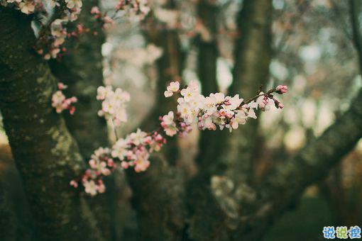 日升日落讓人感到傷感的說說 時(shí)間和愛情帶給我們的憂傷傷感說說2