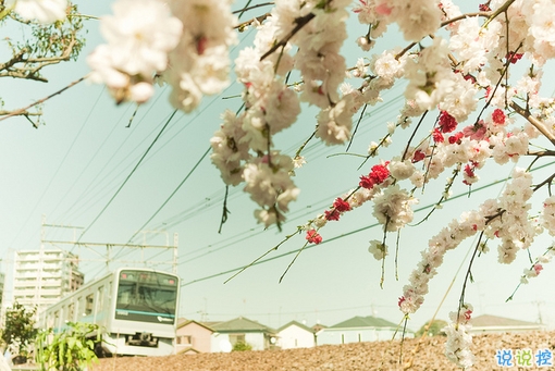 27句無限浪漫的表白情話合集 真心愛一個人的表白說說1