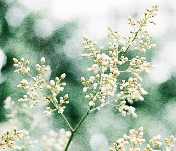 關(guān)于一個(gè)人旅行的精辟哲理說(shuō)說(shuō)帶圖片 每一次旅行其實(shí)都是一場(chǎng)修行2