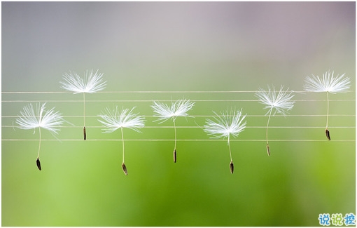 女生心累說說簡潔一句話帶圖片 回憶很傷人的說說一直無法忘記15