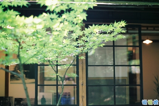 很特別的微信說說帶圖片獨(dú)一無二 15條值得收藏的經(jīng)典句子13