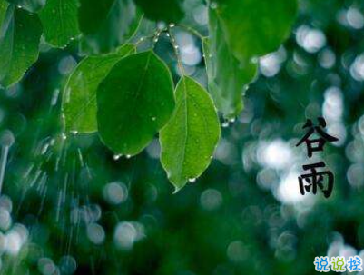 2019谷雨朋友圈說(shuō)說(shuō)配圖 谷雨節(jié)發(fā)朋友圈的說(shuō)說(shuō)優(yōu)美14