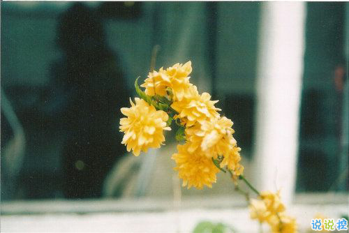 發(fā)微信朋友圈的好句子大全 別致一點的朋友圈說說有個性2