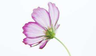 在夢(mèng)里也會(huì)潸然淚下的說說帶圖 如果時(shí)光倒流峩捫能抓得住什么11