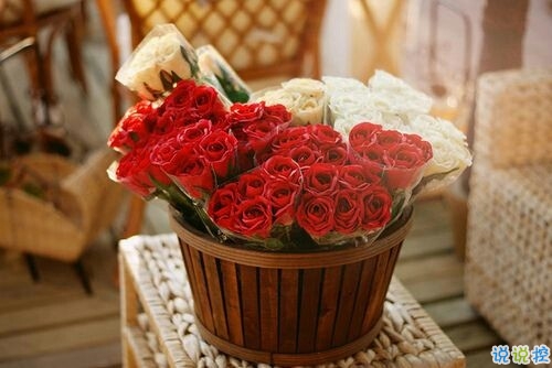 2019微信個性說說帶圖片 發(fā)朋友圈的獨特內(nèi)涵句子11