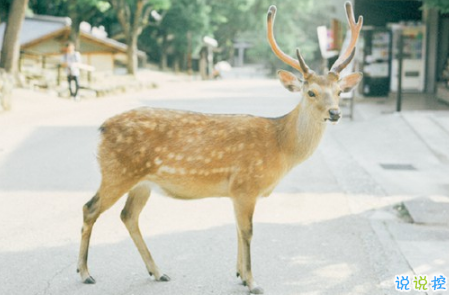 表示無聊的朋友圈說說帶圖片：無聊，是人生的一種正?，F(xiàn)象1