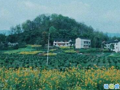 快手公布對(duì)象說說精選帶圖片 公布戀愛關(guān)系的說說12