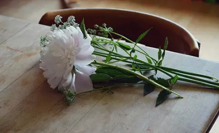 2018最新寫(xiě)給傻傻的自己配圖 傻傻的話(huà)寫(xiě)給自己一段話(huà)圖片8