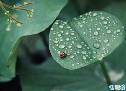 2019谷雨節(jié)氣朋友圈早安心語(yǔ) 谷雨美好心情說(shuō)說(shuō)2