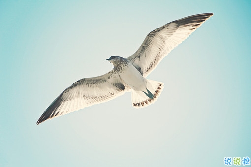 治愈系個(gè)性唯美說說帶圖片 2018朋友圈很火的唯美文藝說說配圖12