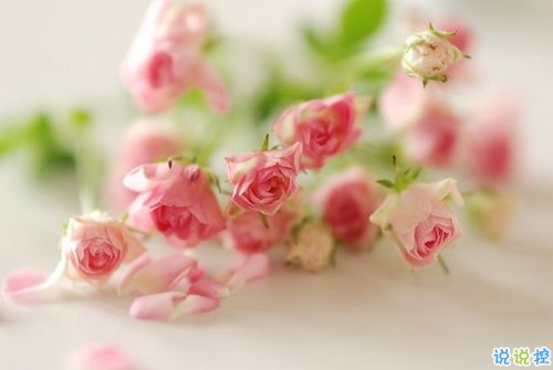 致拼搏路上的自己說說超勵志帶圖片 感慨人生的經(jīng)典說說配圖10