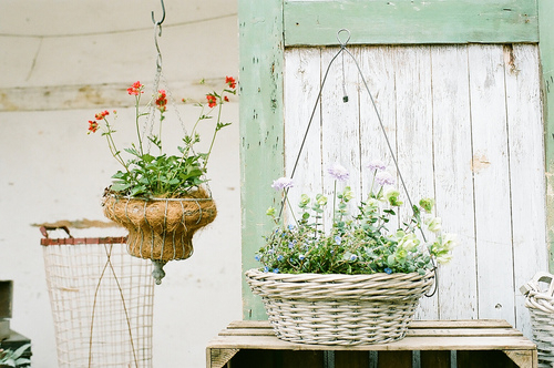 甜蜜浪漫情話只想說給你聽的說說帶圖片 想化作一陣風輕柔的撫過你6