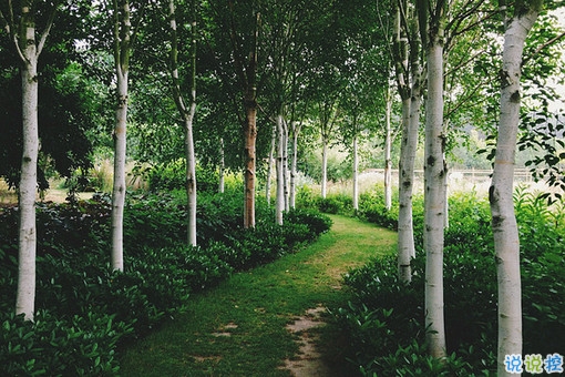 可以發(fā)朋友圈的早安勵(lì)志心語(yǔ)大全2018 很經(jīng)典的勵(lì)志說(shuō)說(shuō)帶圖片9