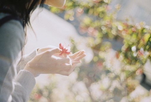 超唯美文藝的說(shuō)說(shuō)帶圖片 你看沒(méi)看見(jiàn)我都盛開(kāi)風(fēng)來(lái)不來(lái)芬芳都在4