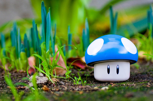 經(jīng)典的英文哲理說說帶圖片 小清新和文字控喜歡的英文說說7