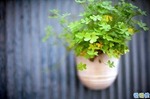 回憶總想哭的傷感說說帶圖片 學(xué)著忘記你釋懷一切的傷感說說9