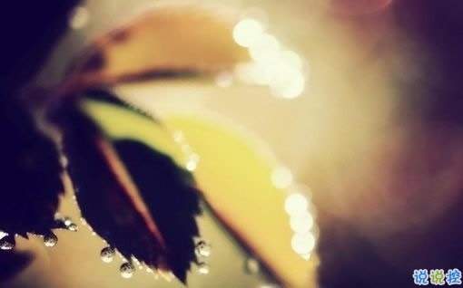 輸?shù)靡凰康膼?ài)情傷感說(shuō)說(shuō) 句句寫入心坎的傷感說(shuō)說(shuō)大全2