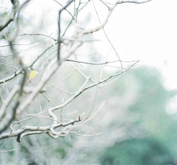 關(guān)于一個(gè)人旅行的精辟哲理說(shuō)說(shuō)帶圖片 每一次旅行其實(shí)都是一場(chǎng)修行8