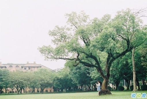 2019最新暖心告白情話合集 喜歡一個人就勇敢表白的話1