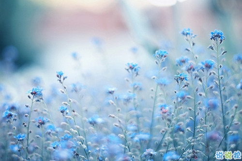 分手后泣不成聲的難過悲傷說說帶圖片 有的人陪你一半就走了說說7