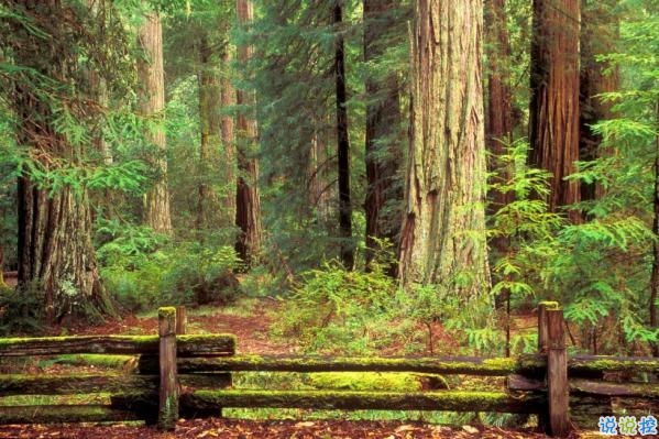 心里甜蜜蜜的愛情說說帶圖片 愛情說說一輩子只愛你9