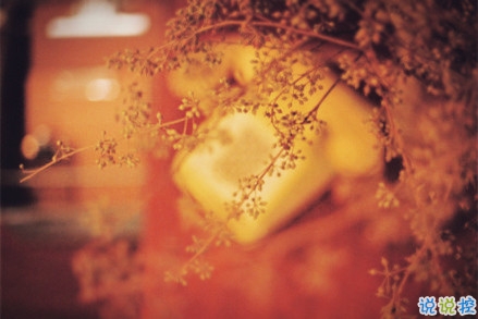 幽默有趣的說說大全一秒鐘笑哭 讓人樂在其中的搞笑說說帶圖片4