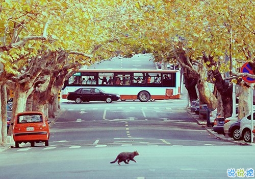 qq個(gè)性說(shuō)說(shuō)帶圖片有點(diǎn)憂(yōu)傷 晚安無(wú)奈傷感說(shuō)說(shuō)11