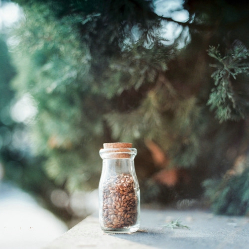 甜蜜浪漫文藝小清新喜歡的愛情圖片說說 決定做你的“小太陽”溫暖你保護(hù)你6