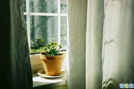 突然不喜歡一個(gè)人/放棄一個(gè)人是一種什么樣的感受？11