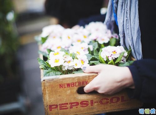 很經(jīng)典唯美的說說適合摘抄 一句話寫滿了少女心事的說說2