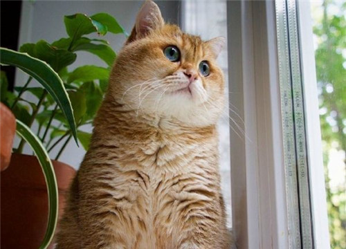 可以戳中中你笑點的搞笑說說帶圖片3