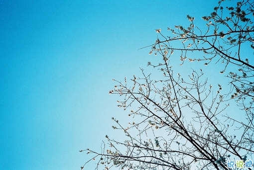 心好累的傷感說說非主流帶圖片 喜歡一個人卻得不到的悲傷說說7