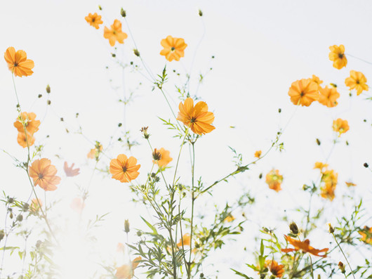 生活說說很現(xiàn)實(shí)的說說2018心情短語 穿透人心的說說簡短一句話2