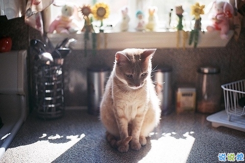 男女都適合的成熟愛情說說帶圖片 你必須學(xué)會(huì)和懂得的愛情真理3